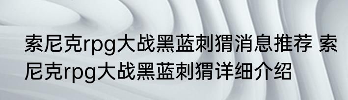 索尼克rpg大战黑蓝刺猬消息推荐 索尼克rpg大战黑蓝刺猬详细介绍