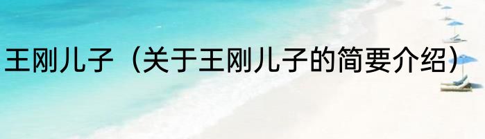 王刚儿子（关于王刚儿子的简要介绍）