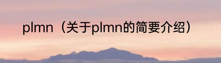 plmn（关于plmn的简要介绍）
