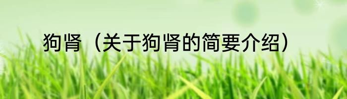 狗肾（关于狗肾的简要介绍）