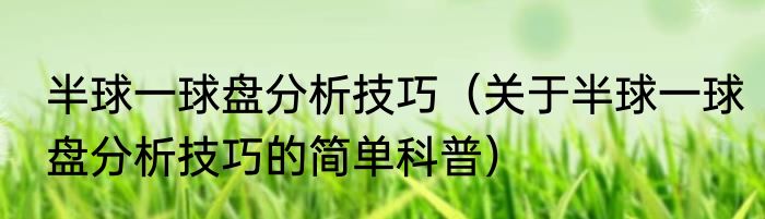 半球一球盘分析技巧（关于半球一球盘分析技巧的简单科普）