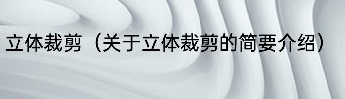 立体裁剪（关于立体裁剪的简要介绍）