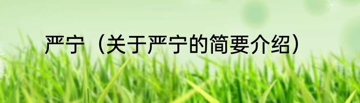 严宁（关于严宁的简要介绍）