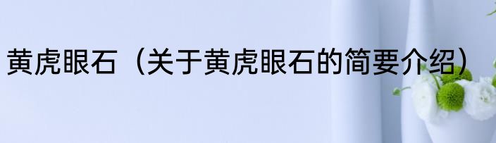 黄虎眼石（关于黄虎眼石的简要介绍）