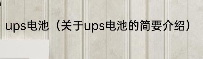 ups电池（关于ups电池的简要介绍）