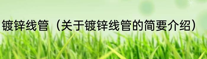 镀锌线管（关于镀锌线管的简要介绍）