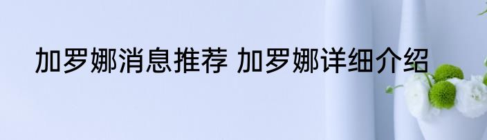 加罗娜消息推荐 加罗娜详细介绍