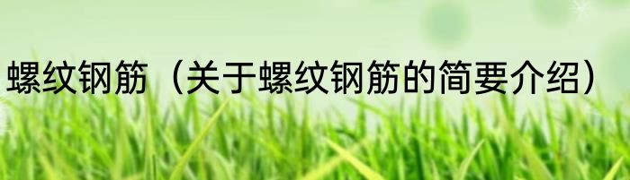 螺纹钢筋（关于螺纹钢筋的简要介绍）