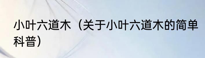 小叶六道木（关于小叶六道木的简单科普）