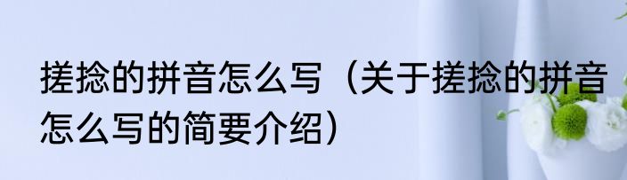 搓捻的拼音怎么写（关于搓捻的拼音怎么写的简要介绍）