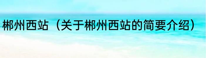 郴州西站（关于郴州西站的简要介绍）