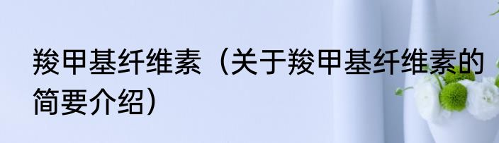 羧甲基纤维素（关于羧甲基纤维素的简要介绍）