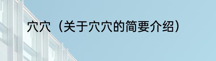 穴穴（关于穴穴的简要介绍）