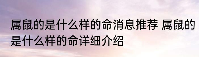 属鼠的是什么样的命消息推荐 属鼠的是什么样的命详细介绍