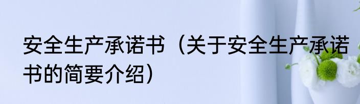 安全生产承诺书（关于安全生产承诺书的简要介绍）