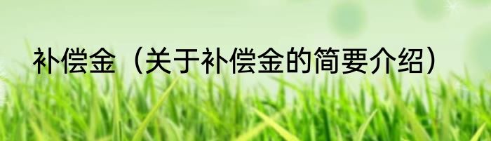 补偿金（关于补偿金的简要介绍）