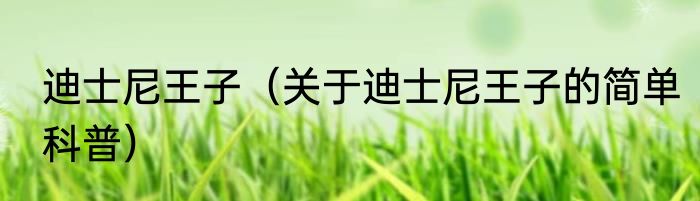 迪士尼王子（关于迪士尼王子的简单科普）