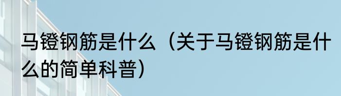 马镫钢筋是什么（关于马镫钢筋是什么的简单科普）