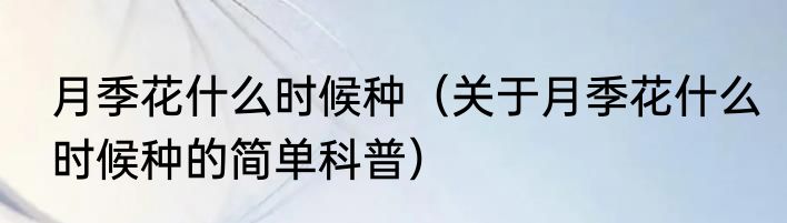 月季花什么时候种（关于月季花什么时候种的简单科普）