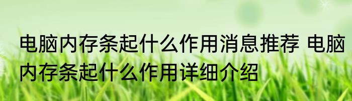 电脑内存条起什么作用消息推荐 电脑内存条起什么作用详细介绍
