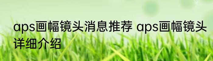 aps画幅镜头消息推荐 aps画幅镜头详细介绍