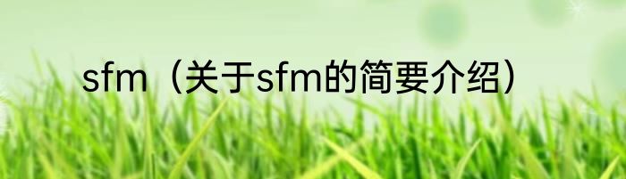 sfm（关于sfm的简要介绍）