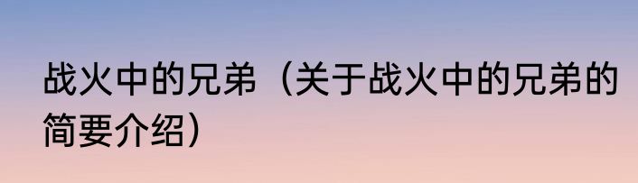 战火中的兄弟（关于战火中的兄弟的简要介绍）