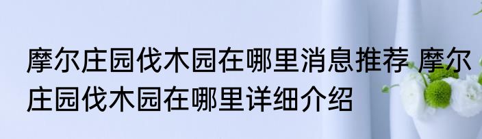 摩尔庄园伐木园在哪里消息推荐 摩尔庄园伐木园在哪里详细介绍