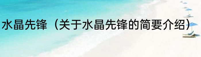 水晶先锋（关于水晶先锋的简要介绍）