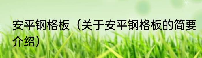 安平钢格板（关于安平钢格板的简要介绍）
