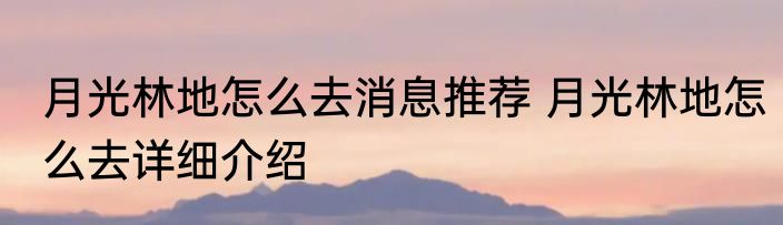 月光林地怎么去消息推荐 月光林地怎么去详细介绍