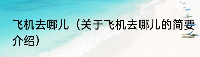 飞机去哪儿（关于飞机去哪儿的简要介绍）