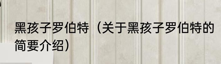 黑孩子罗伯特（关于黑孩子罗伯特的简要介绍）