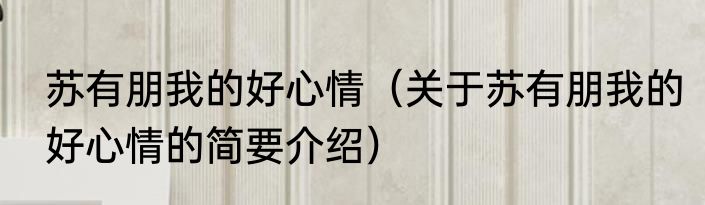 苏有朋我的好心情（关于苏有朋我的好心情的简要介绍）