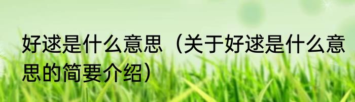 好逑是什么意思（关于好逑是什么意思的简要介绍）