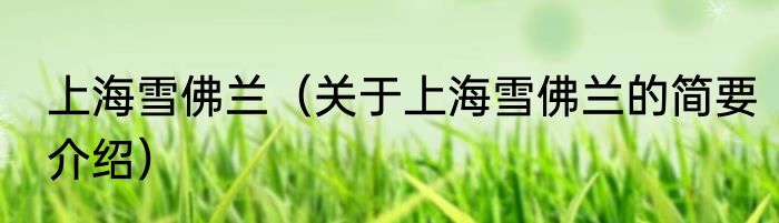 上海雪佛兰（关于上海雪佛兰的简要介绍）