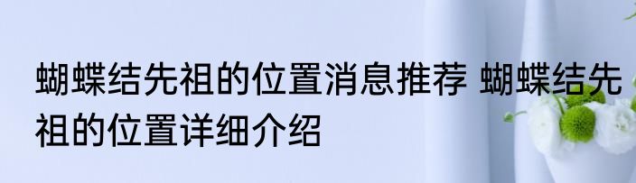 蝴蝶结先祖的位置消息推荐 蝴蝶结先祖的位置详细介绍