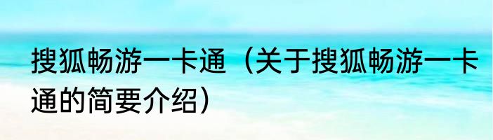 搜狐畅游一卡通（关于搜狐畅游一卡通的简要介绍）