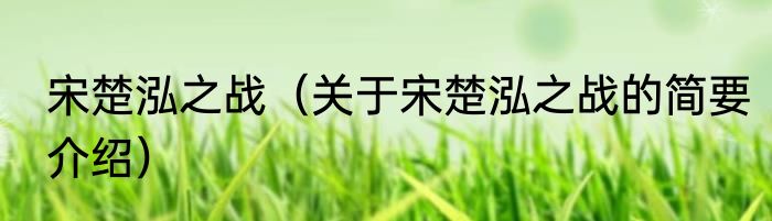 宋楚泓之战（关于宋楚泓之战的简要介绍）