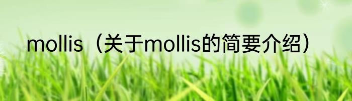 mollis（关于mollis的简要介绍）