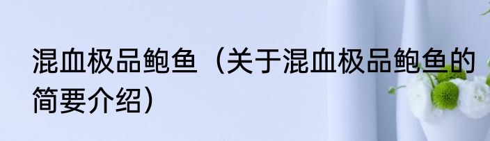 混血极品鲍鱼（关于混血极品鲍鱼的简要介绍）