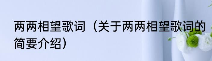 两两相望歌词（关于两两相望歌词的简要介绍）