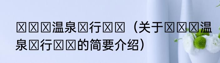 もっと温泉に行こう（关于もっと温泉に行こう的简要介绍）
