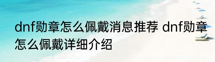 dnf勋章怎么佩戴消息推荐 dnf勋章怎么佩戴详细介绍