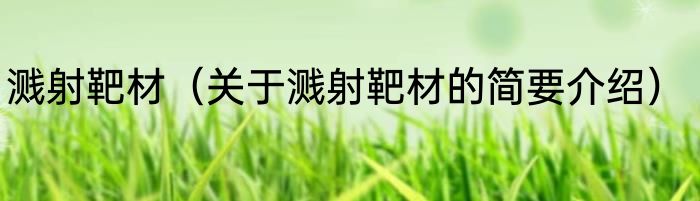 溅射靶材（关于溅射靶材的简要介绍）