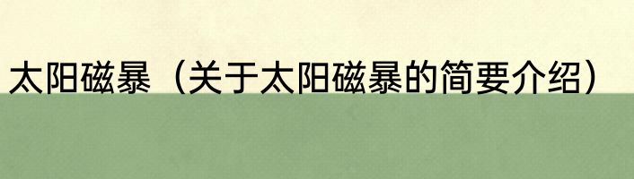 太阳磁暴（关于太阳磁暴的简要介绍）