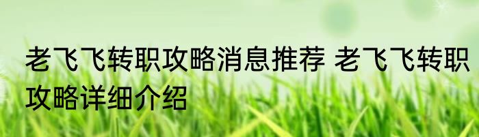 老飞飞转职攻略消息推荐 老飞飞转职攻略详细介绍