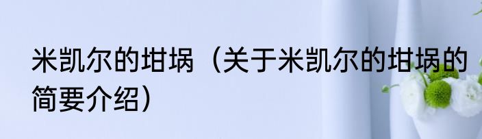 米凯尔的坩埚（关于米凯尔的坩埚的简要介绍）