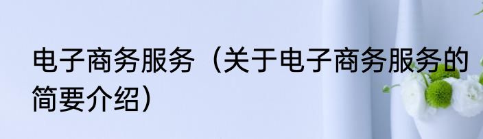 电子商务服务（关于电子商务服务的简要介绍）