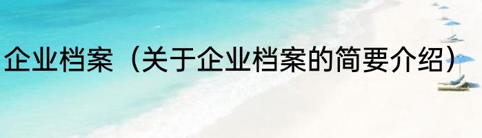 企业档案（关于企业档案的简要介绍）